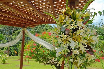 Outdoor Wedding Area